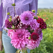 FAM_Flower_Farm_E4959-AA-paars-lila-rood-mix-high