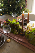 ORCHIDS-INFO-WINTERSHOOT-3