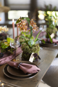 ORCHIDS-INFO-WINTERSHOOT-37