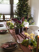ORCHIDS-INFO-WINTERSHOOT-5