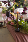 ORCHIDS-INFO-WINTERSHOOT-7