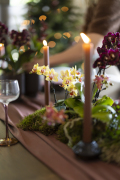 ORCHIDS-INFO-WINTERSHOOT-9