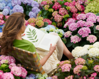 HYDRANGEA WORLD Gartenhortensien 2026