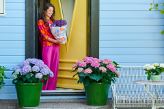 hydrangea world, shoot Eilze Eveleens, tuinhortensia, ModelTrend Bahama MamaVoordeurCadeau, groene pot