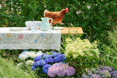 hydrangea world, shoot Eilze Eveleens, tuinhortensiaTrend Simply DeliciousTafelsettingBuitenleven, kip