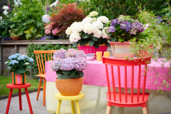 hydrangea world, shoot Eilze Eveleens, tuinhortensiaTrend Bahama MamaBuitentafelTafelsetting