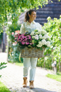 hydrangea world, shoot Eilze Eveleens, tuinhortensia, ModelTrend Simply DeliciousTuinieren, mand