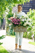 hydrangea world, shoot Eilze Eveleens, tuinhortensia, ModelTrend Simply DeliciousTuinieren, mand
