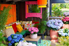 hydrangea world, shoot Eilze Eveleens, tuinhortensiaTrend Bahama Mama, Terrasveranda