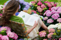 hydrangea world, shoot Eilze Eveleens, tuinhortensia, Vitamine Hortensia, Vitalise You, Campagne, Model