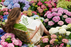 hydrangea world, shoot Eilze Eveleens, tuinhortensia, Vitamine Hortensia, Vitalise You, Campagne, Model