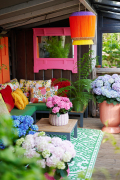 hydrangea world, shoot Eilze Eveleens, tuinhortensiaTrend Bahama Mama, Terrasveranda