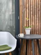 ORCHIDSINFO_Patio_Proof_Paphiopediulum_Outdoor_IMG_4490