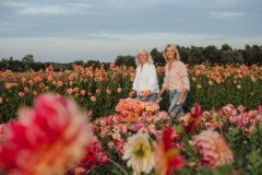 FAM_LA1_8575_lilian_fotografie_fam_flower_farm_dahlia_2022-09-12-bewerkt