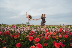 FAM_LA1_8623_lilian_fotografie_fam_flower_farm_dahlia_2022-09-12