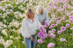 FAM_LA2_2479_lilian_fotografie_fam_flower_farm_dahlia_2022-09-12-bewerkt