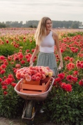 FAM_LA2_2587_lilian_fotografie_fam_flower_farm_dahlia_2022-09-12