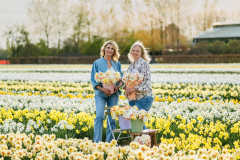 LI8_8437_Lilian_Fotografie_Fam_Flower_Fam_Noordwijkerhout_Fotoshoot_2025-04-14-Verbeterd-NR-bewerkt