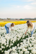 LI8_8651_Lilian_Fotografie_Fam_Flower_Fam_Noordwijkerhout_Fotoshoot_2025-04-14-Verbeterd-NR-bewerkt