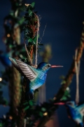 WG4674_DecoBird_Broad-billedHB_Xmas-9