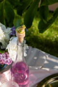 WG4992_BottleStop_Frog-Lifestyle-Summer-1