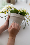 ORCHIDS-INFO-2025-15