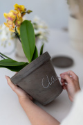 ORCHIDS-INFO-2025-18
