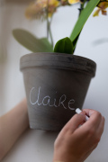 ORCHIDS-INFO-2025-19