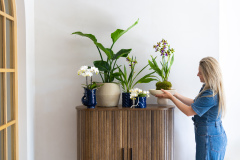 ORCHIDS-INFO-2025-36
