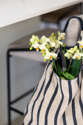 ORCHIDS-INFO-2025-44