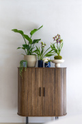 ORCHIDS-INFO-2025-46
