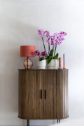 ORCHIDS-INFO-2025-47