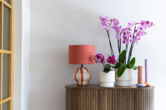 ORCHIDS-INFO-2025-49