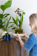 ORCHIDS-INFO-2025-57