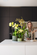ORCHIDS-INFO-2025-62
