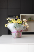 ORCHIDS-INFO-2025-9