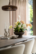 ORCHIDS-INFO-47