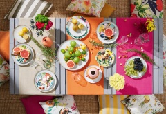 Apelt-3967-45-50-6511-30-Arte-50-Leitzia-30-Arizona-31-60-22-6521-50-Ibiza-50-6522-60-Tahiti-60