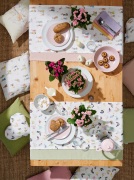 Apelt-6500-50-6502-50-4362-50-35-90-63-45-6501-50-Arizona-42-38