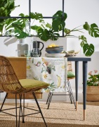 Apelt-Arizona-50-Alaska-40-6521-50-4362-40