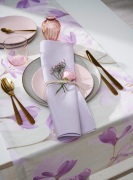 Apelt_6508_90_4362_90