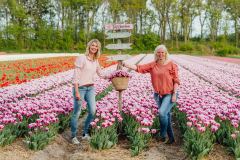 FAM_Flower_Farm_Tulpen_08