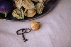 Wildlife_Garden_WG4703_Keyring_Physalis-2