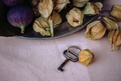 Wildlife_Garden_WG4703_Keyring_Physalis-5