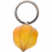 Wildlife_Garden_WG4703_Keyring_Physalis_Top