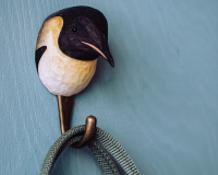 WILDLIFE GARDEN HERBST NEWS 2022