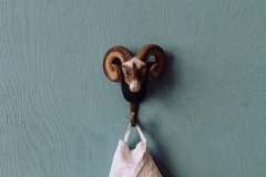 WG4548_Hook_Ram_Lifestyle_Filtered-3