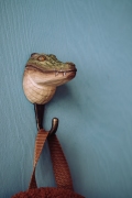 WG4549_Hook_Crocodile_Lifestyle_Filtered-16