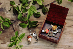 Wildlife_Garden_Keyrings_Mushrooms_Group-2