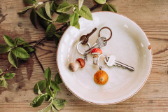 Wildlife_Garden_Keyrings_Mushrooms_Group-7